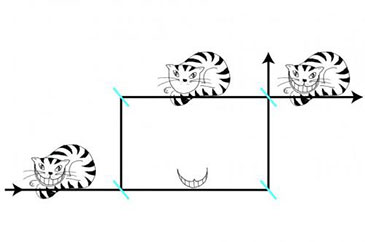 Diagram illustrating the quantum Cheshire Cat 