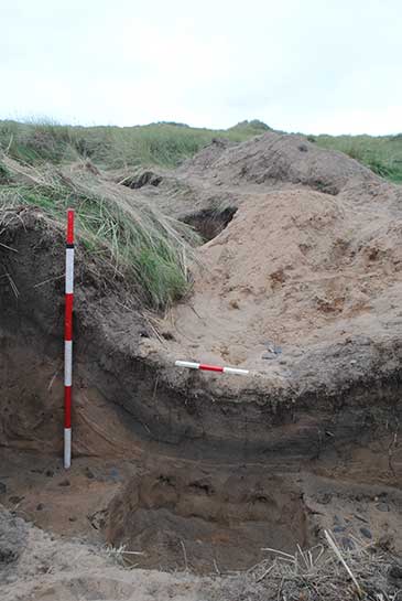 Image of an archaeological trench section showing the line of the original practice trench 