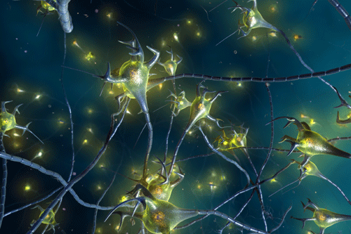 Generic illustration showing synapse network