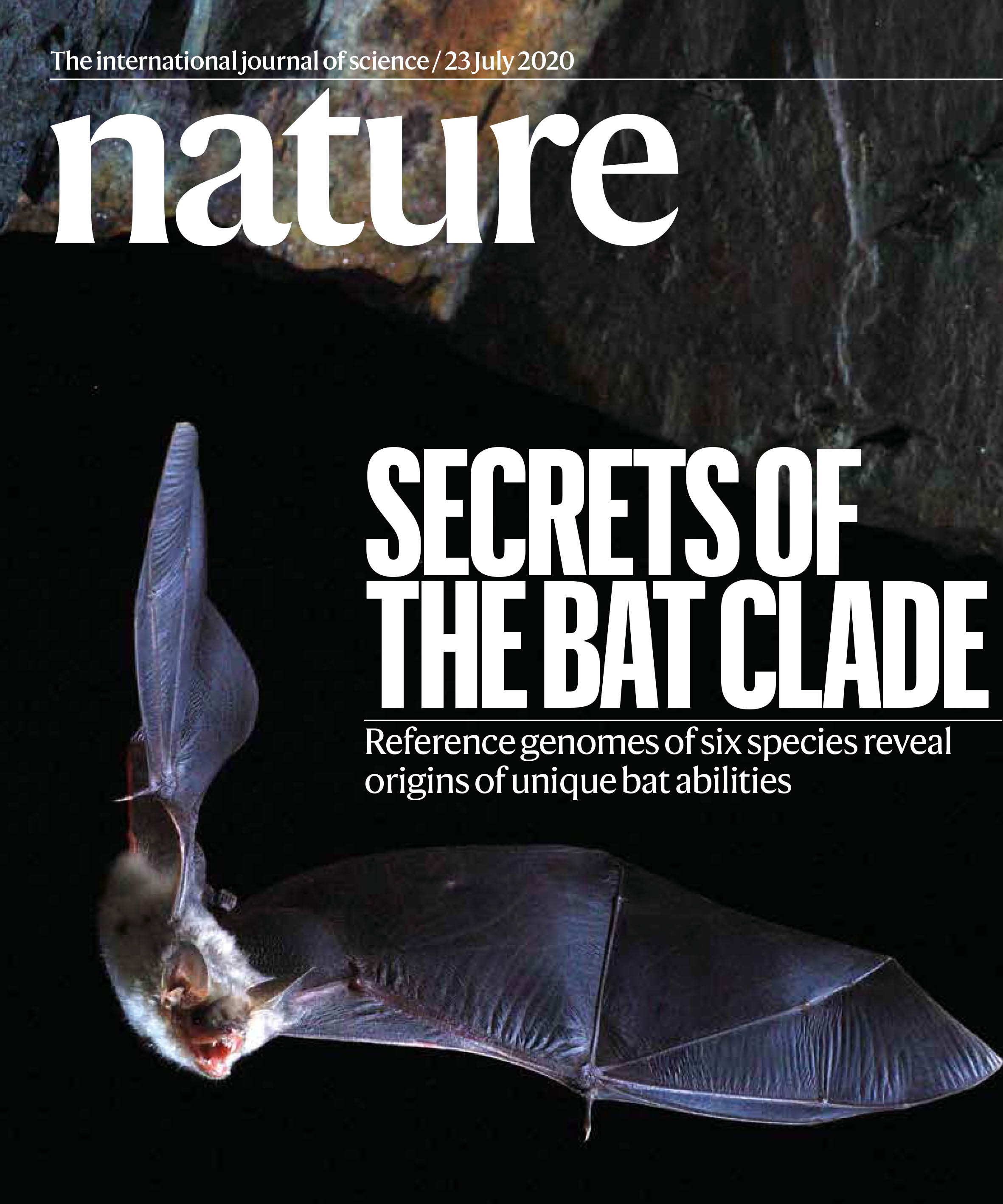 July: bat1k-study | News and features | University of Bristol