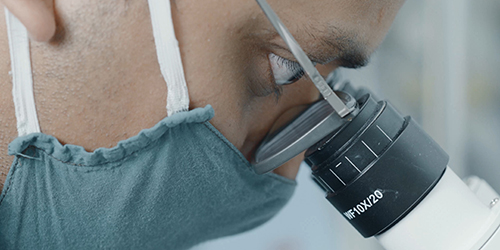 A man wearing glasses and a COVID-19 facemask looks into a microscope.