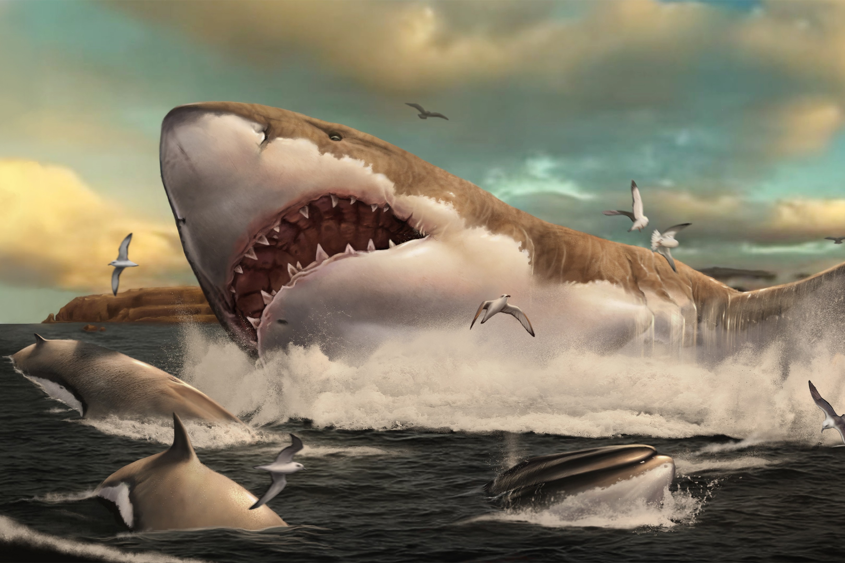 Research reveals how teeth functioned and evolved in giant megasharks