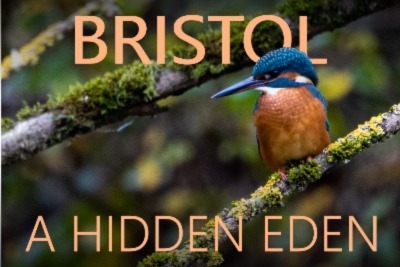 New documentary unearths Bristol’s wildlife treasures –  – University of Bristol – All news