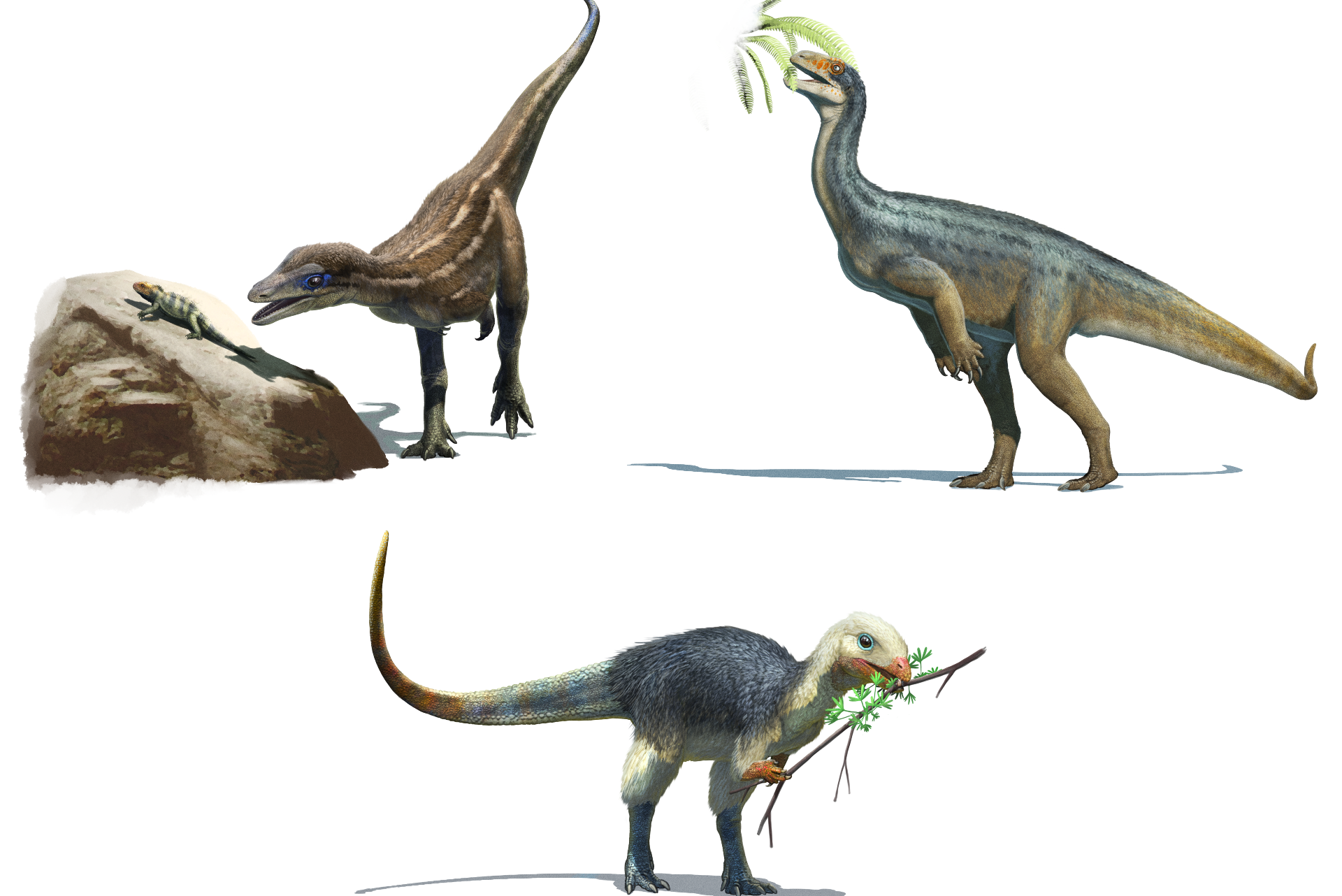 Scientists discover what was on the menu of the first dinosaurs –  – University of Bristol – All news