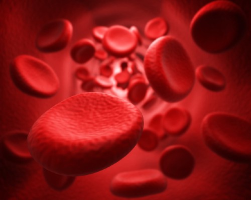 Close-up image of blood cells