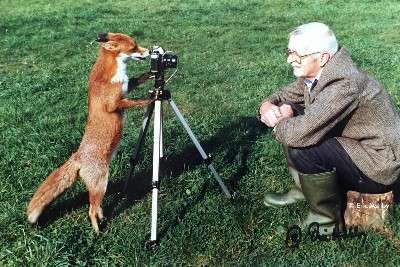 Hundreds of historical wildlife films dating back to the 19th Century have been preserved in archive –  – University of Bristol – All news