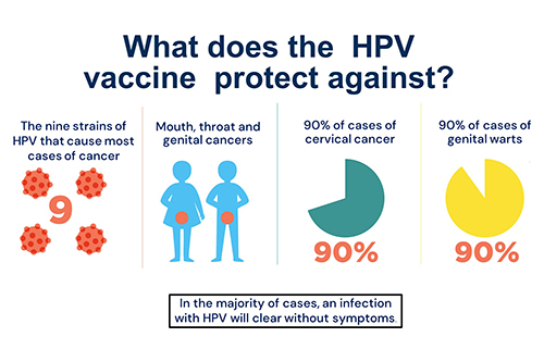 Infographic about what the HPV vaccine protects against
