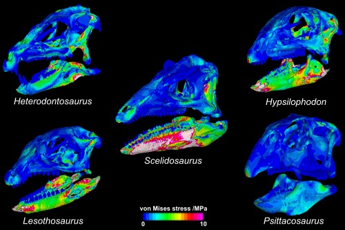 January: veggie dinosaurs | News and features | University of Bristol