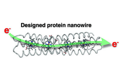 Pioneering study signals new era of environment-friendly programmable bioelectronics –  – University of Bristol – All news