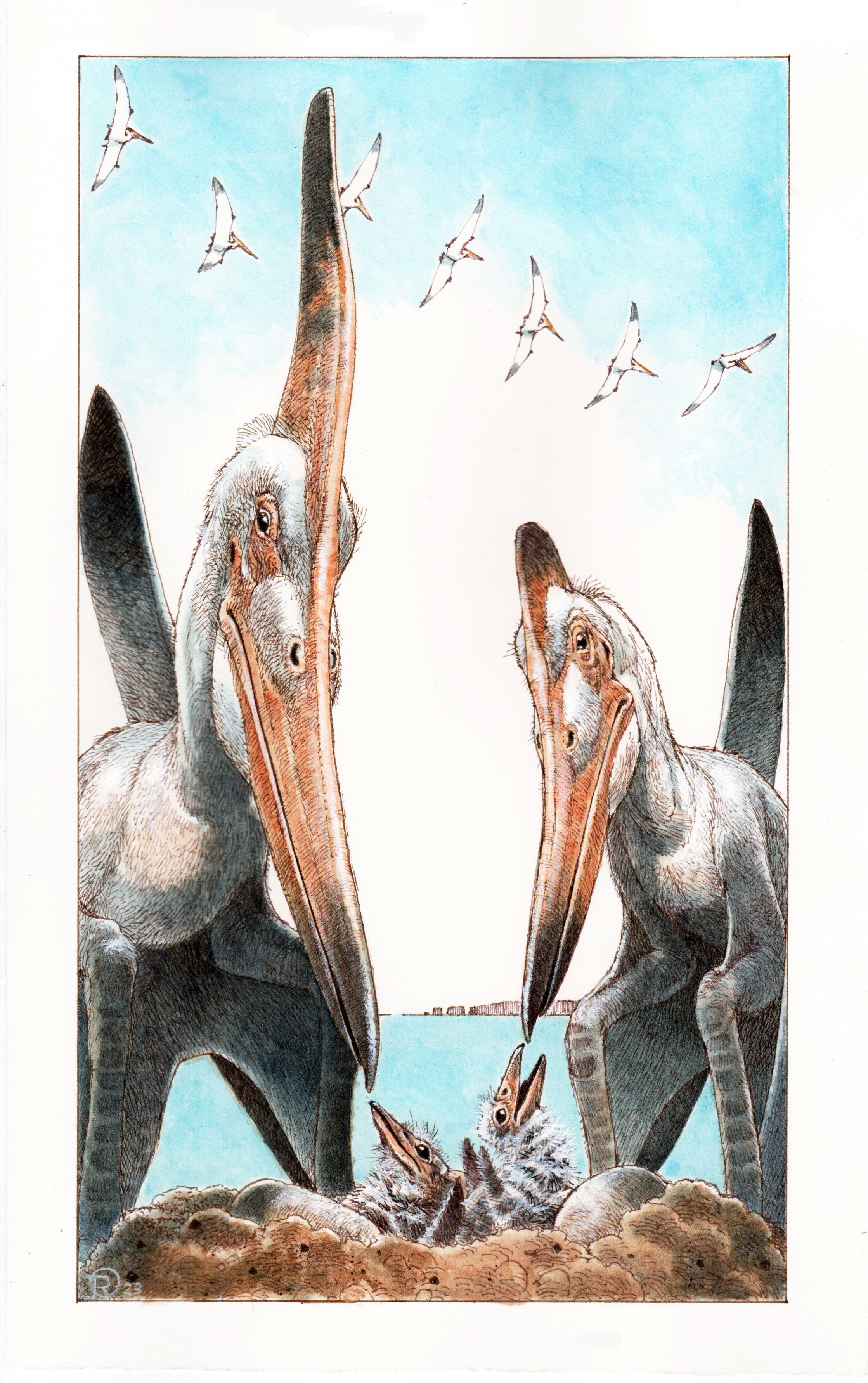 July: Pterosaurs parents, News and features