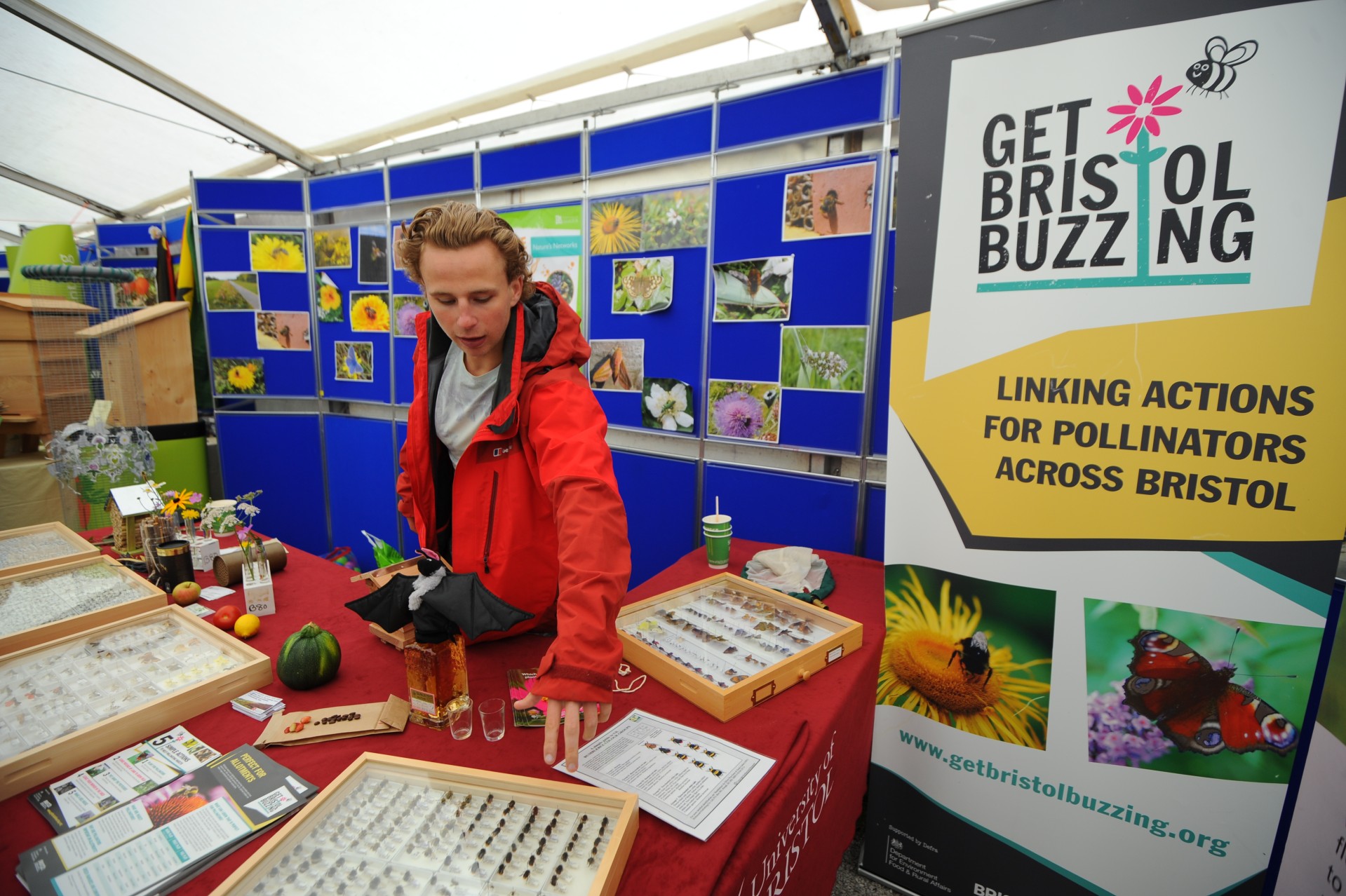 August: Bee and Pollination Festival 2024 | News and Features