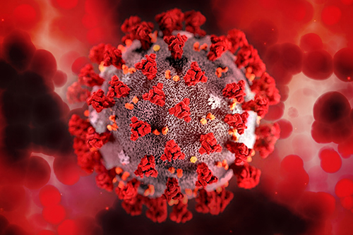 A coronavirus