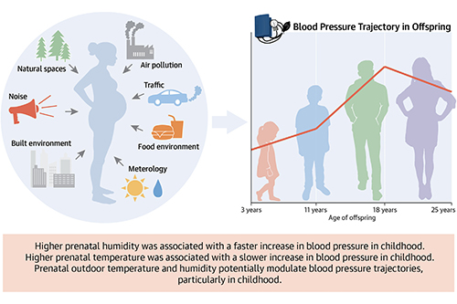 Urban environment and blood pressure illustration