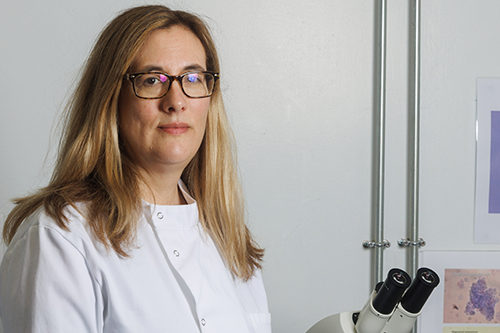 Professor Linda Wooldridge, Chair in Translational Immunology at the University of Bristol