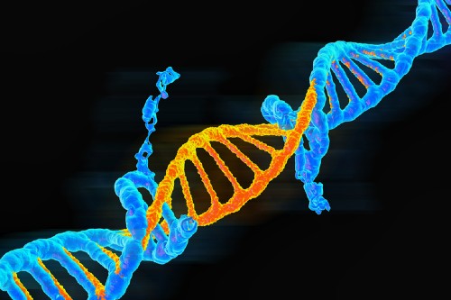 An image illustrating genetic mutation.
