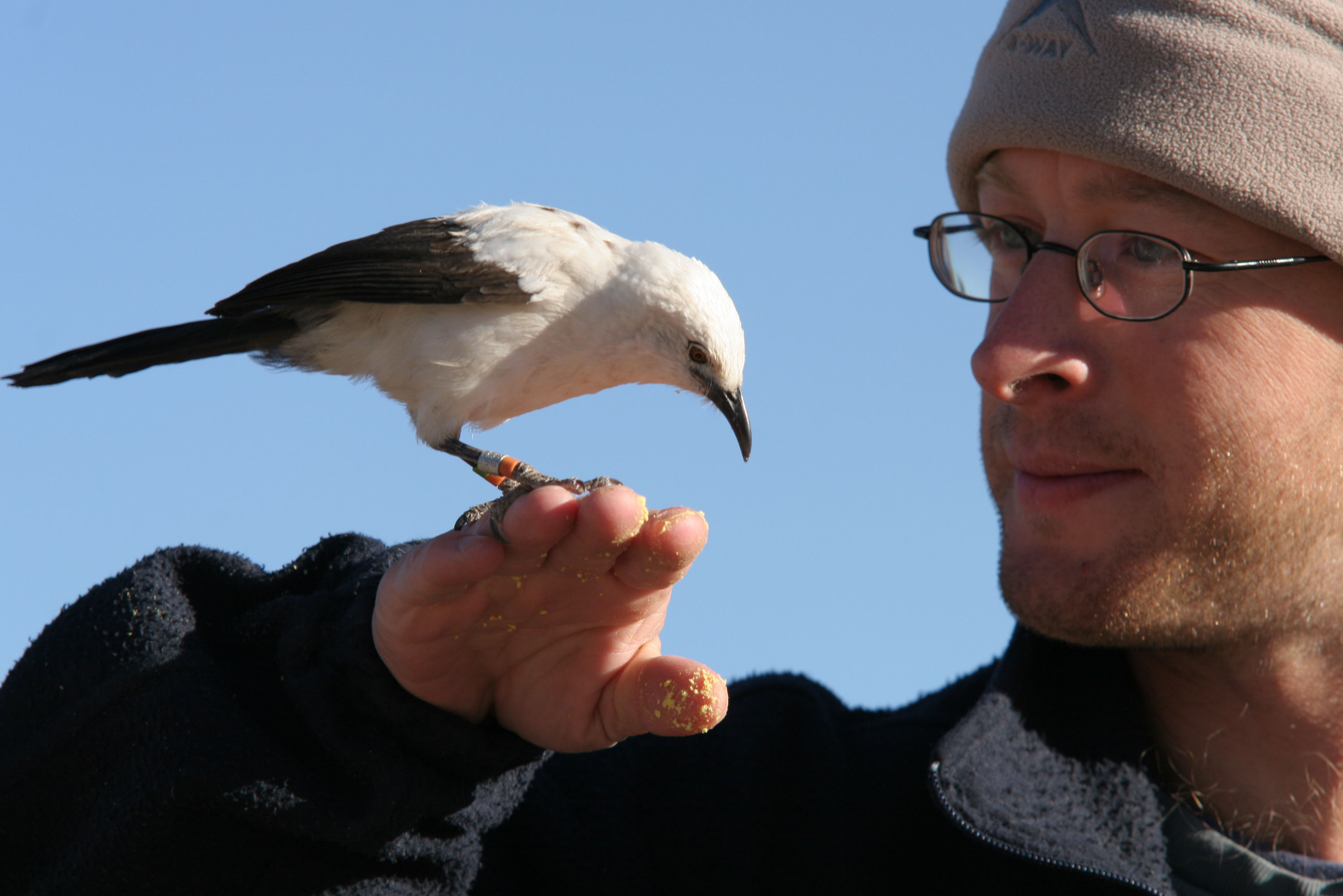 Andy Radford, Professor of Behavioural Ecology in the School of Biological Sciences at the University of Bristol