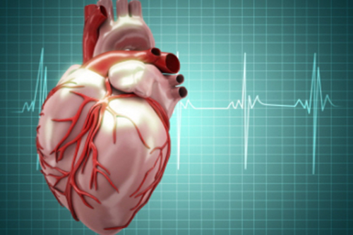 A heart with an electrocardiogram in the background