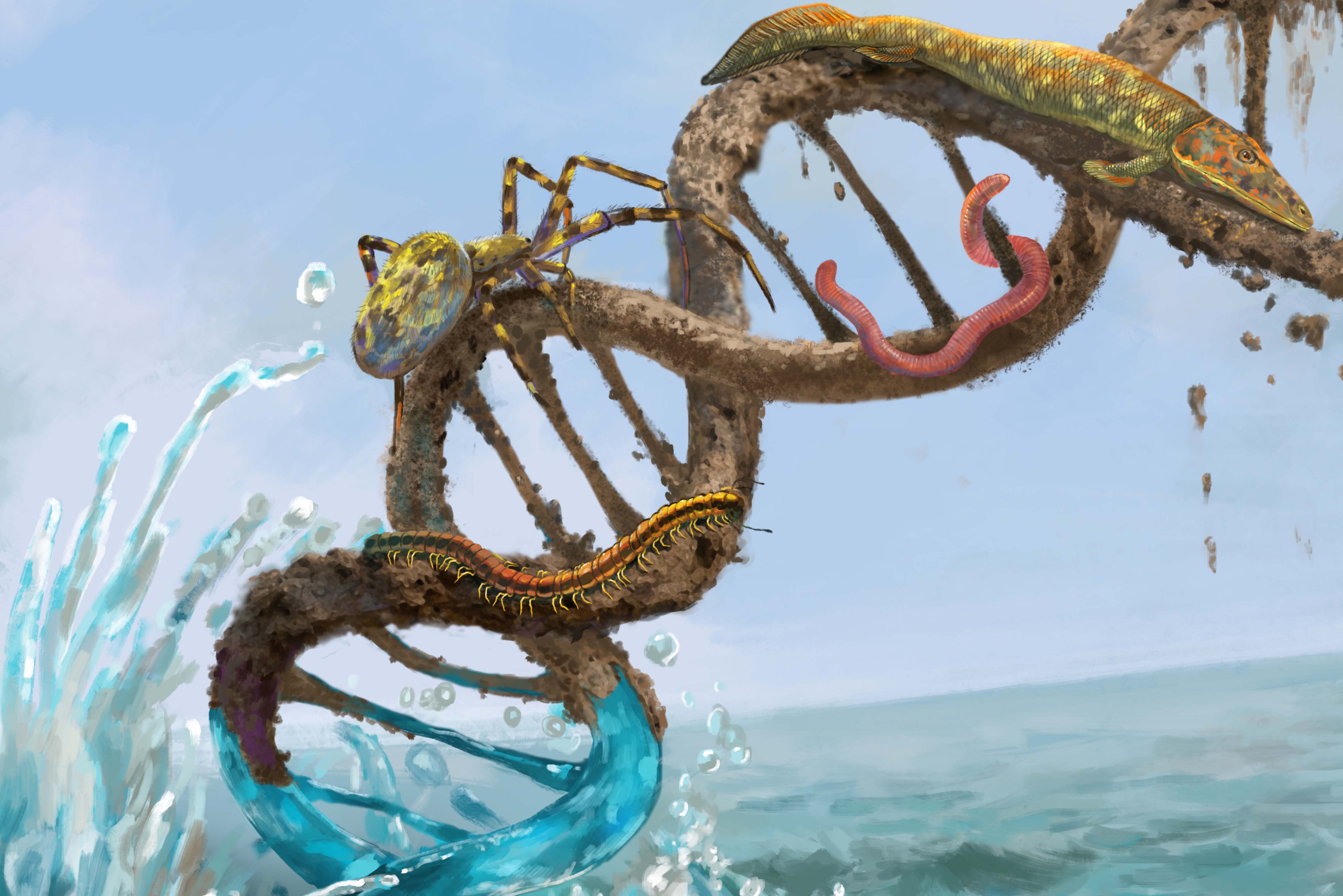 An image portraying transition from water to land