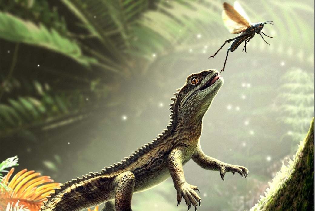 Lizard reconstruction scene