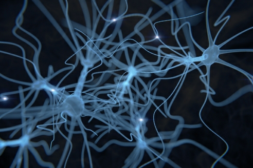  generic image of cell network in brain