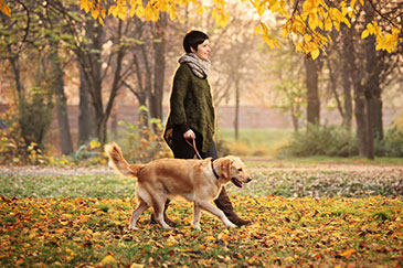 Image of a woman walking a dog in a park 