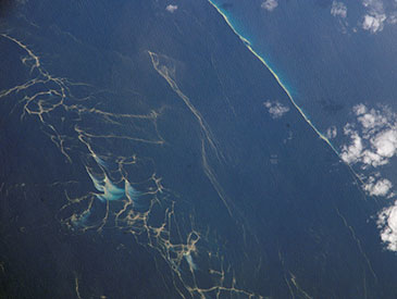 A plankton bloom in the Capricorn Channel off the Queensland coast of Australia - Trichodesmium—a photosynthetic cyanobacteria and nitrogen fixer. 