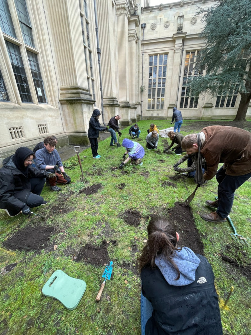 Group of students and staff digging a plot of grass in Royal Fort Gardens. Soil peaks through the greenery, which indicates that the group is heading towards their goal! Everyone is hunched over the patch, focusing on the dig - some use small trowels, others use larger shovels and pitchforks. The Physics Building looks resplendent in the background