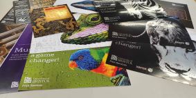 Image showing colourful examples of work produced on our Iridesse machine, showcasing the metallic and clear coats and how they shine enhancing the printed matter