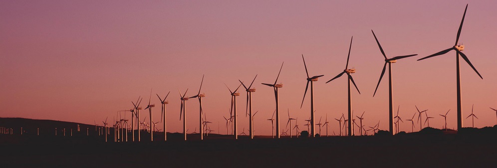 sillhoutte of a windfarm at sunset