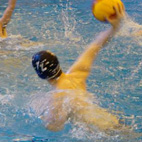 Water polo player in a pool. Image links to Swimming and Water polo club page on Bristol SU website.	
