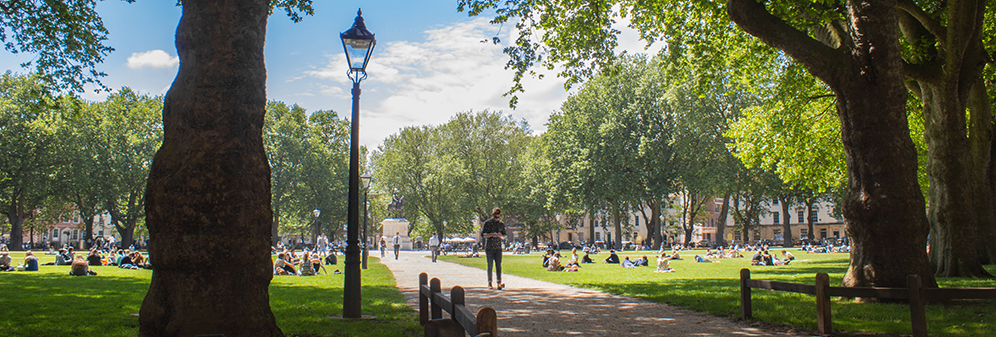 Green space in Queen