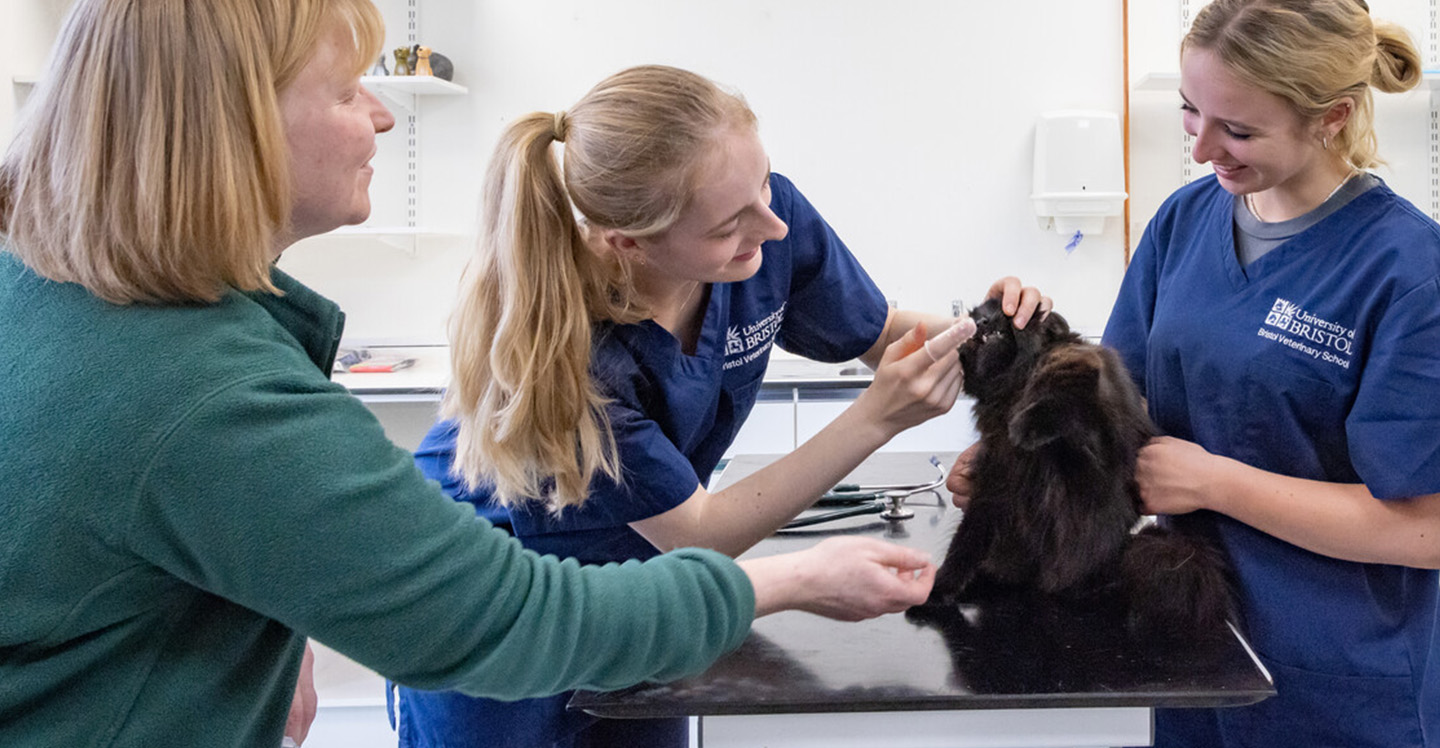 BVSc Veterinary Science: Accelerated Graduate Entry (D102)