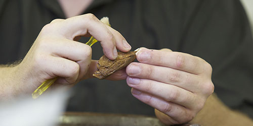 The hands of a student cleaning an artefact with a brush