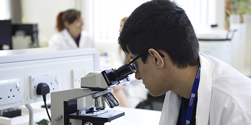A student looking through a microscope.