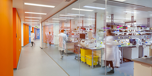 Students at work in the state-of-the-art labs of the Life Sciences Building