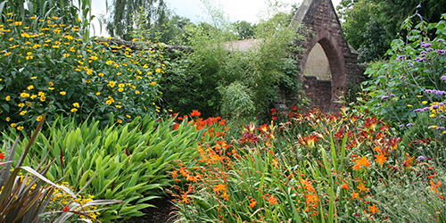 Flowers in the University's Botanic Garden.