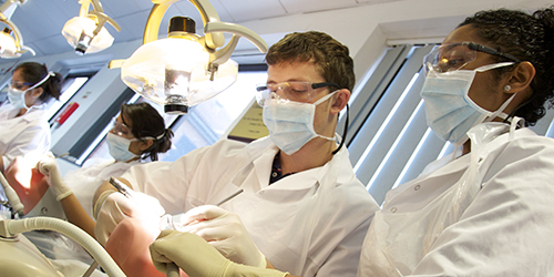 Four students wearing masks complete practical dentistry work.