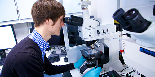 A person looking through a microscope in a laboratory.