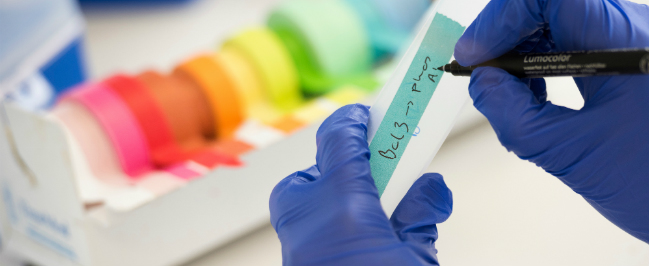 A student labels a lab specimen