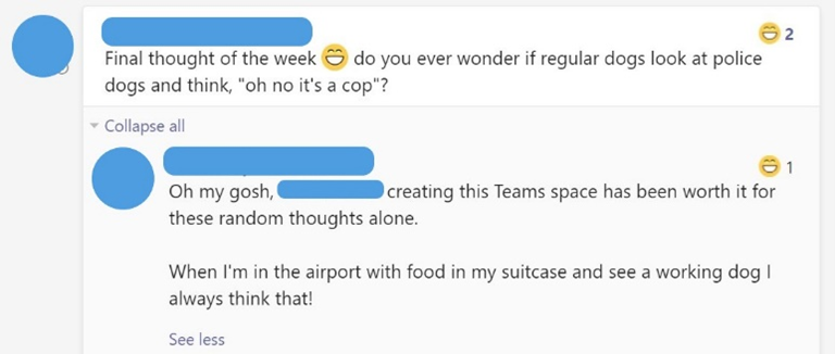 MS Teams chat where someone has posted a random thought: "Final thought of the week - laughing emoji - do you ever wonder if regular dogs look at police dogs and think oh no it's a cop?" and someone has commented that the Teams space was worth it for these types of posts.