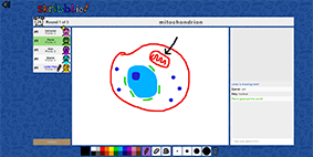 Skribblio screenshot of a group of people trying to guess a word drawn by one of them on the canvas - mitochondrion.
