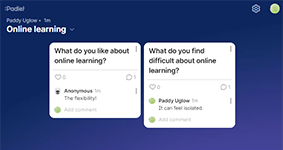 Padlet screenshot - A padlet with 2 posts, both of which has a comment underneath.