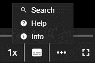 Screenshot of the bottom right of the Replay player, showing the 1x and Show more icon, which shows the options Search, Help and Info on hover.