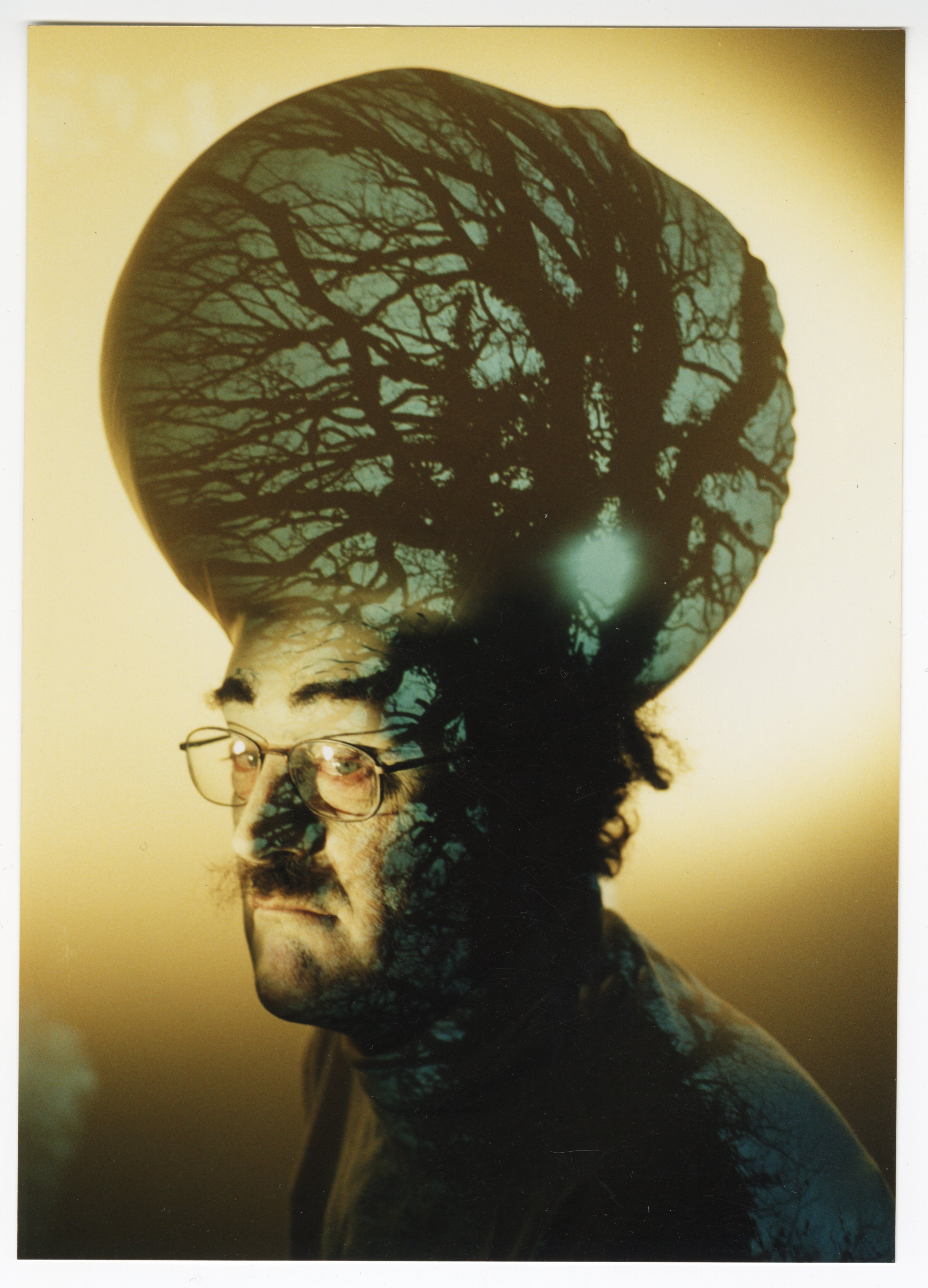 A side on image of a man's head. His head is enlarged and tree branches have been projected onto him.