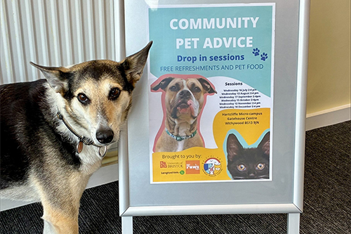 dog sitting next to poster