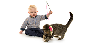 small child playing with a cat and toy