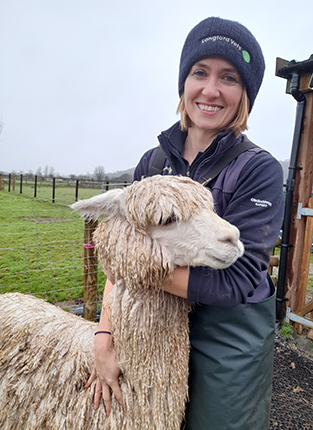 person holding a llama