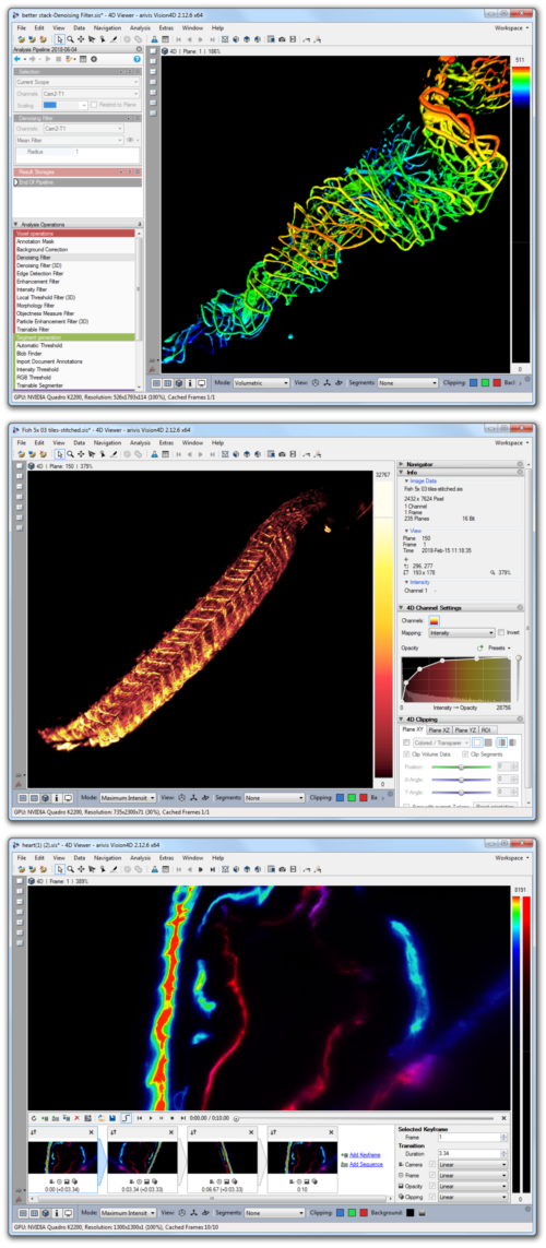 cellprofiler python