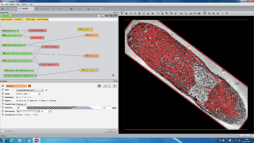 cellprofiler fiji macro