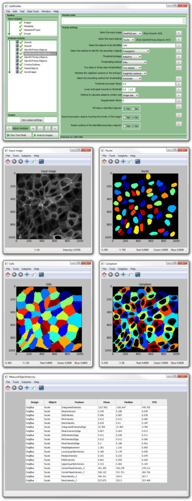 cellprofiler separate cells by shape